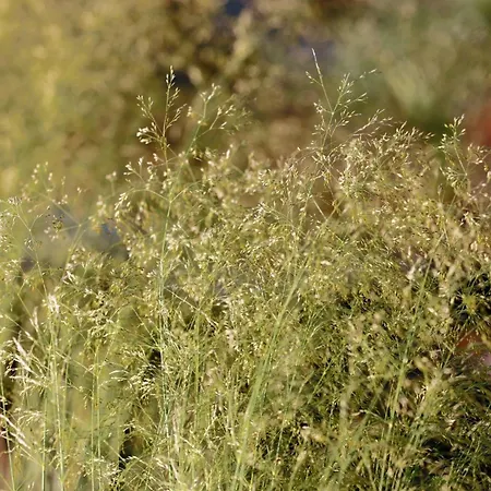 Vila Ateliery Nad Zavozom *