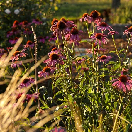 Vila Ateliery Nad Zavozom *