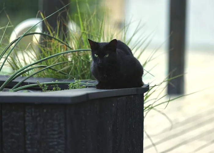 Ateliery Nad Zavozom