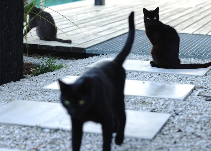 Ateliery Nad Zavozom Hrusov