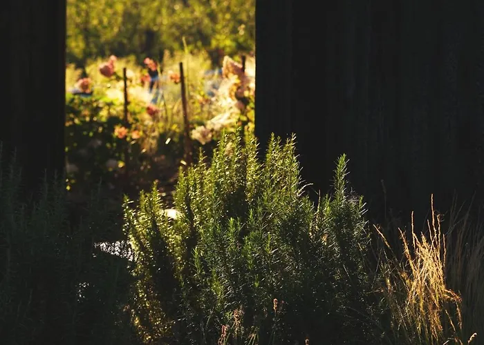 Villa Ateliery Nad Zavozom *