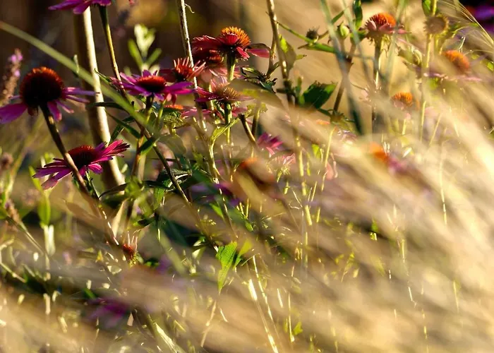 Ateliery Nad Zavozom Villa Hrusov
