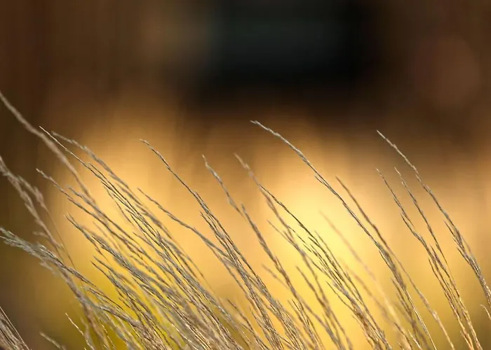 Vila Ateliery Nad Zavozom