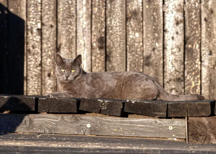 Villa Ateliery Nad Zavozom *