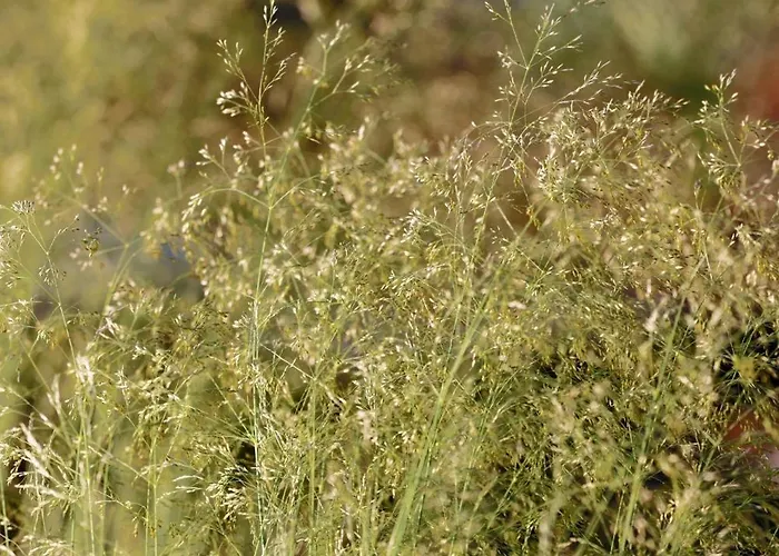 Vila Ateliery Nad Zavozom *