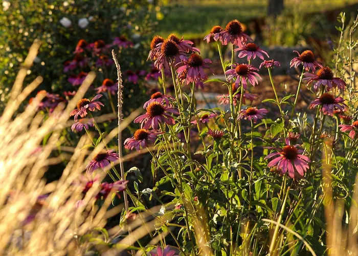 Villa Ateliery Nad Zavozom *