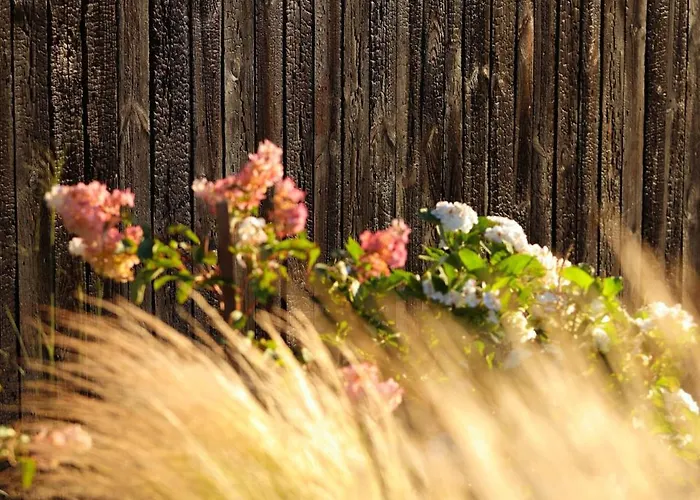 Ateliery Nad Zavozom