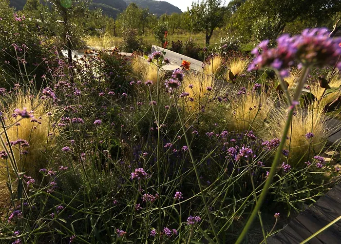 Ateliery Nad Zavozom Vila Hrusov